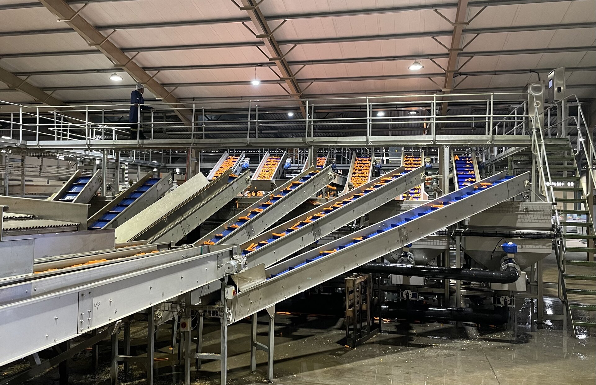 Conveyor Systems